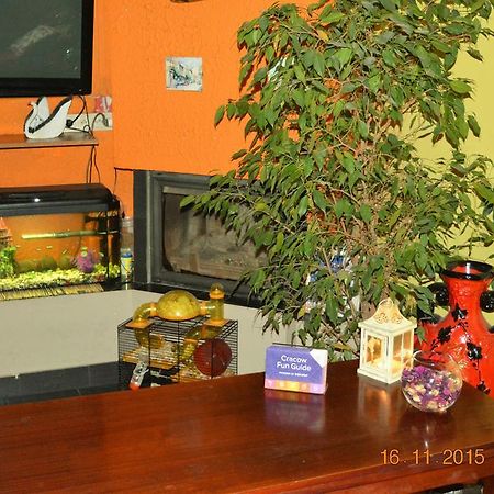 Honey Hostelクラクフ エクステリア 写真